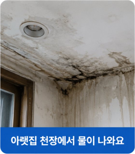 곰팡이와 물자국이 번진 천장